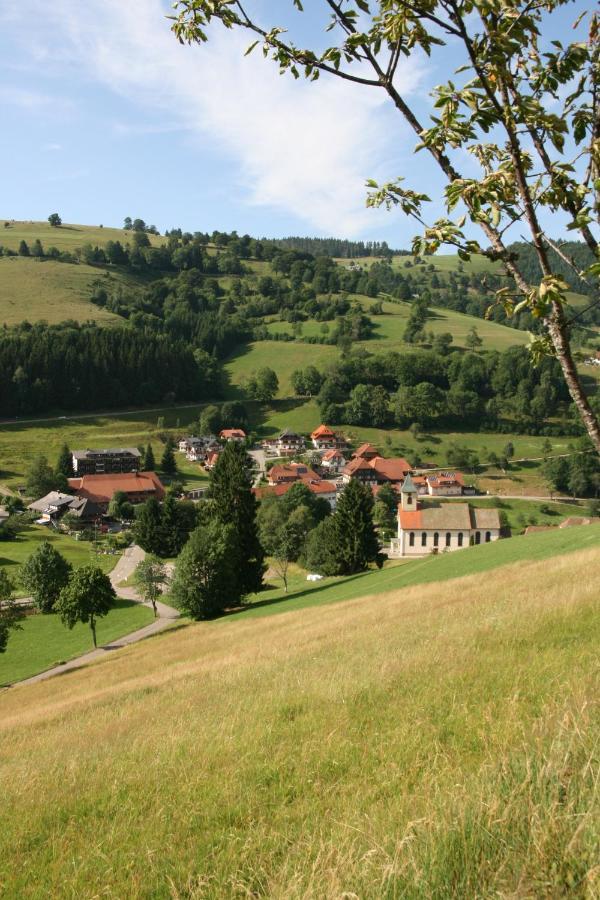 Gaestehaus Sonnhalde วีเดน ภายนอก รูปภาพ